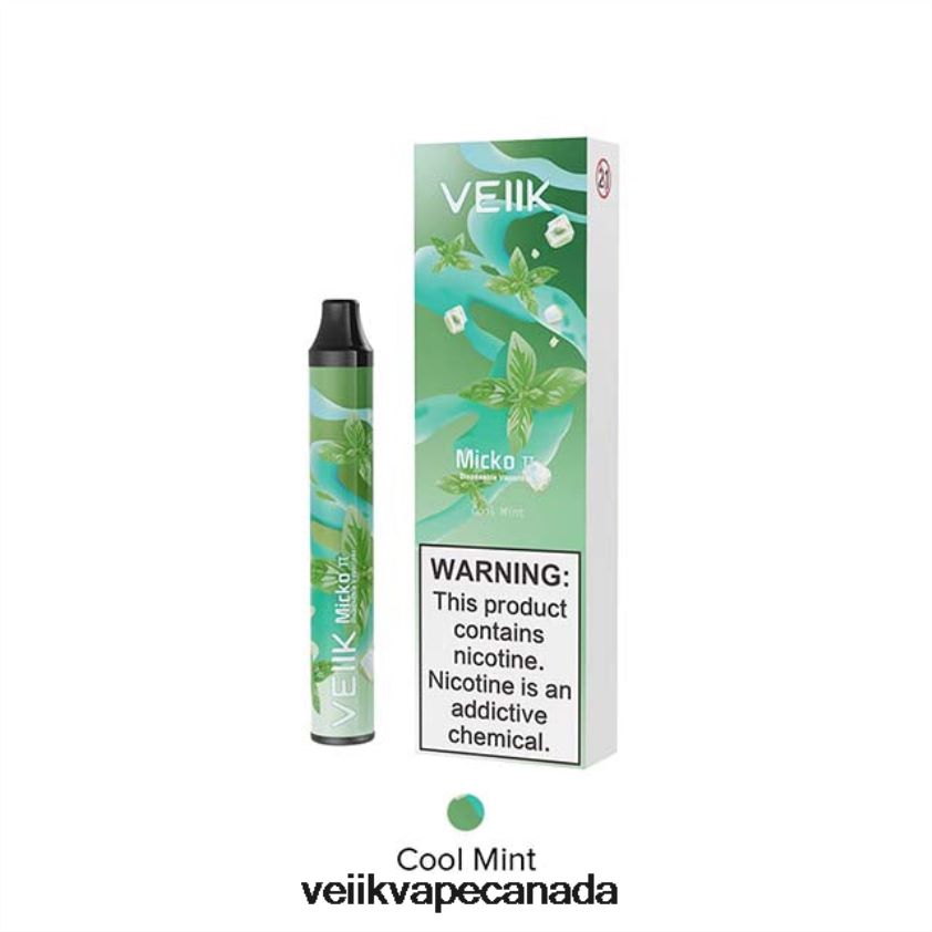 VEIIK Micko Pie Disposable Vape 600 Puffs P448PN22 Cool Mint - VEIIK Vape Price VEIIK Micko Pie Disposable Vape 600 Puffs P448PN22 Cool Mint - VEIIK Vape Price