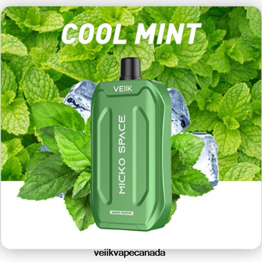 VEIIK Micko Space Disposable Vape 7000 Puffs P448PN36 Cool Mint - VEIIK Airo Refillable Pod VEIIK Micko Space Disposable Vape 7000 Puffs P448PN36 Cool Mint - VEIIK Airo Refillable Pod